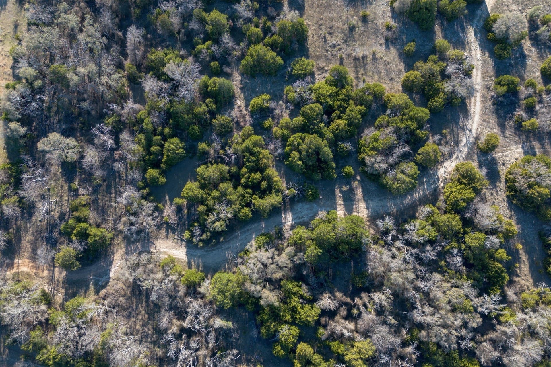 106.28 acres in Erath County - photo 11