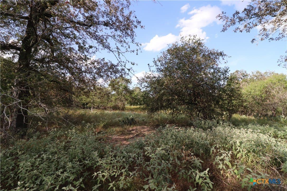 36 acres in Wilson County - photo 6