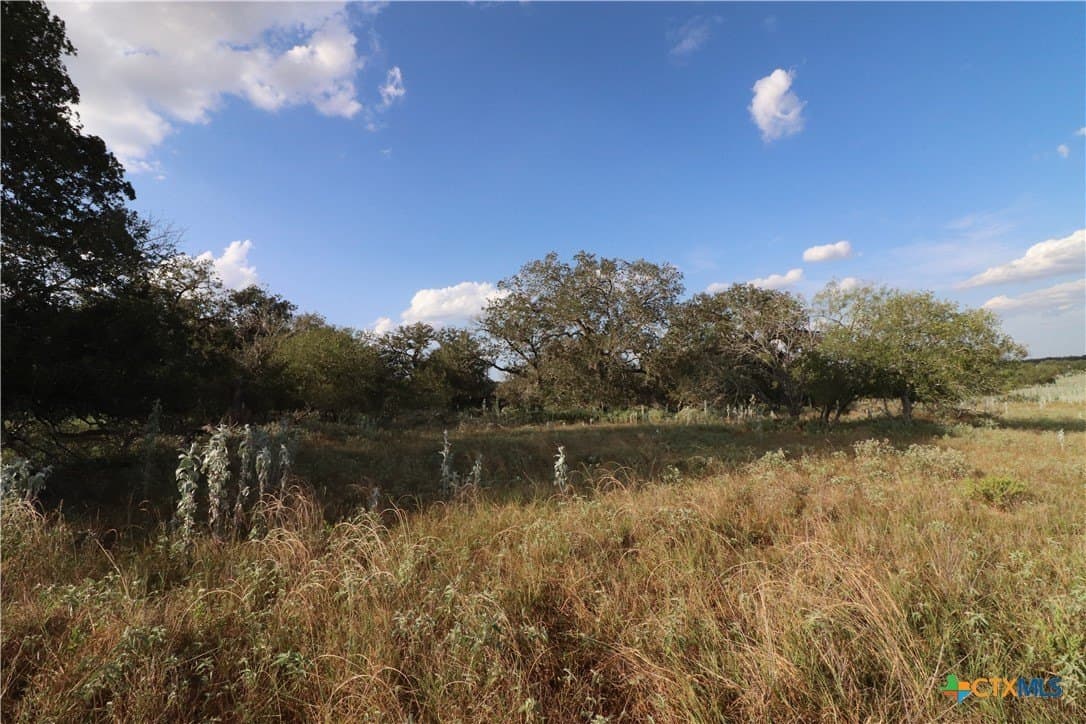 36 acres in Wilson County - photo 8