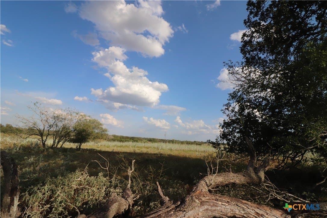 36 acres in Wilson County - photo 17
