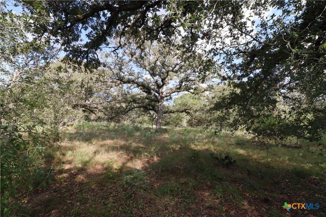 36 acres in Wilson County - photo 12