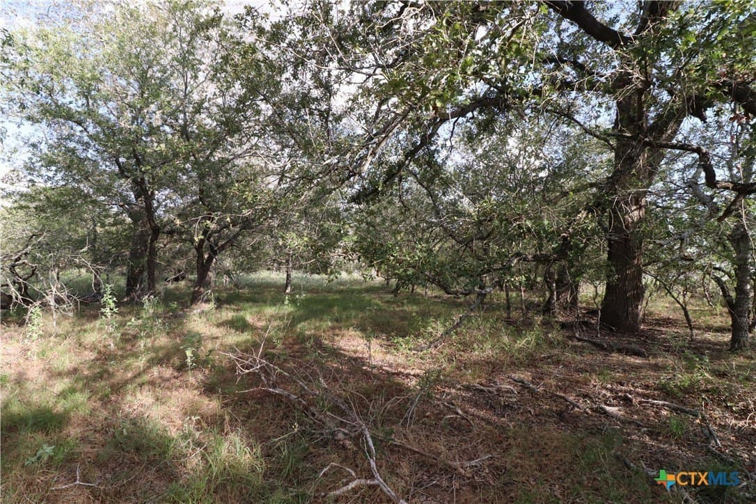 36 acres in Wilson County - photo 4