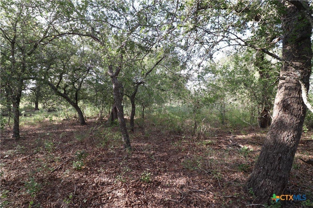 36 acres in Wilson County - photo 20