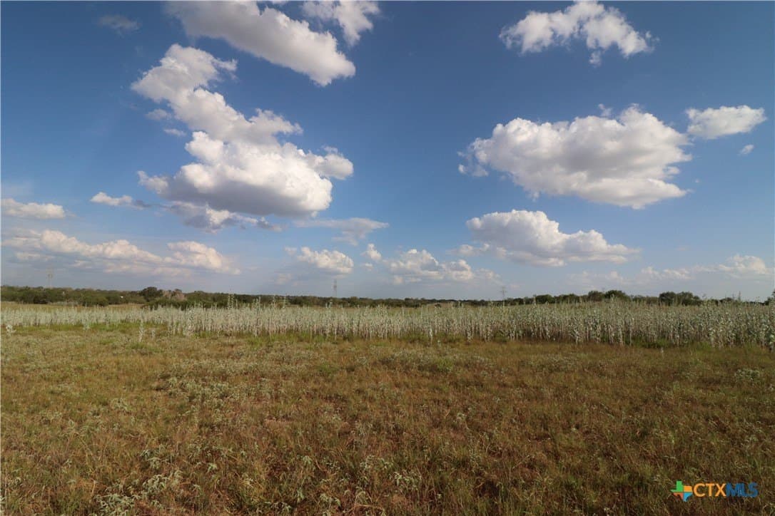36 acres in Wilson County - photo 19