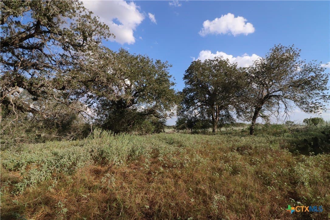 36 acres in Wilson County - photo 16