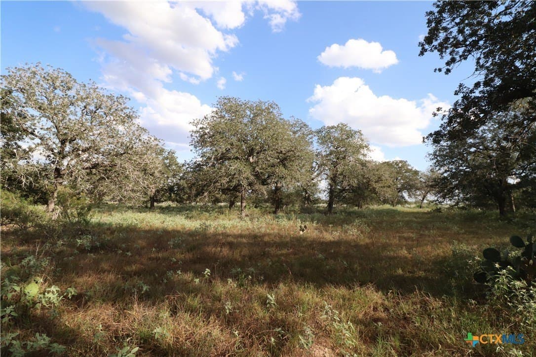 36 acres in Wilson County - photo 15
