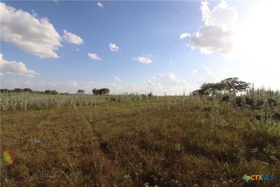 36 acres in Wilson County - photo 21
