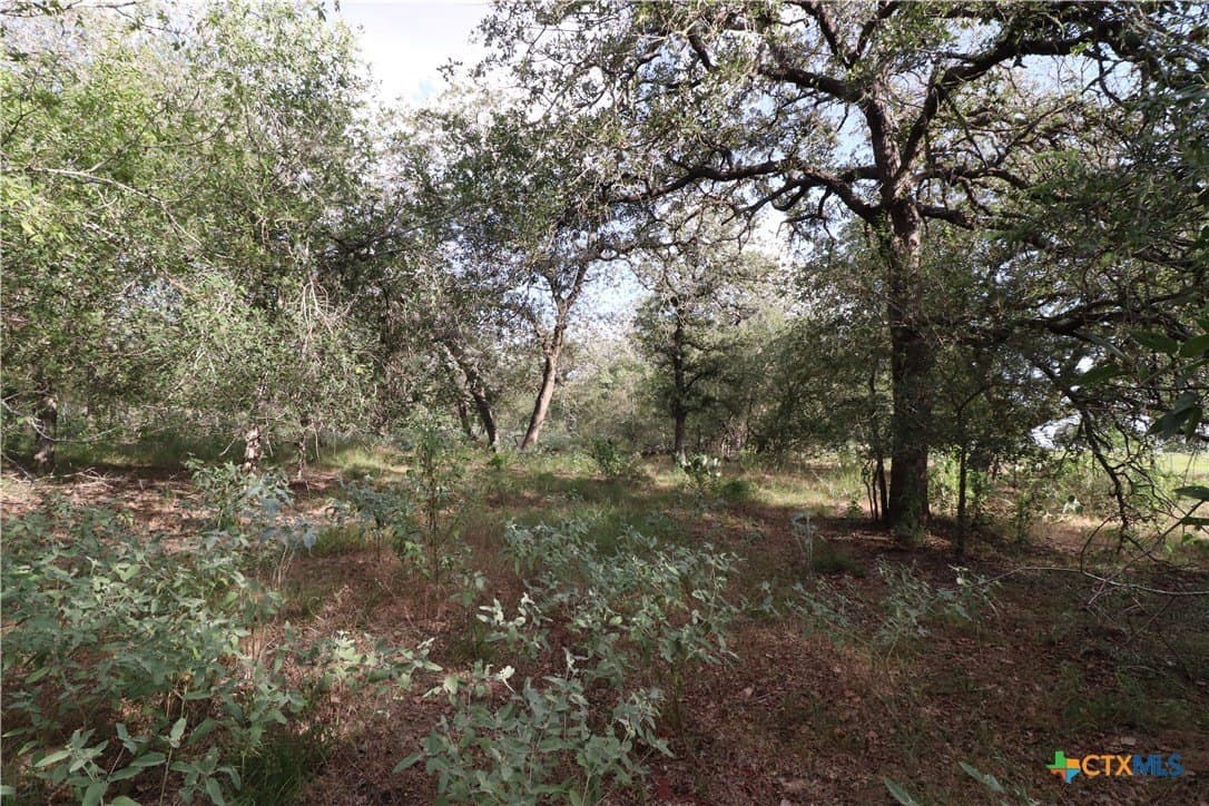 36 acres in Wilson County - photo 11