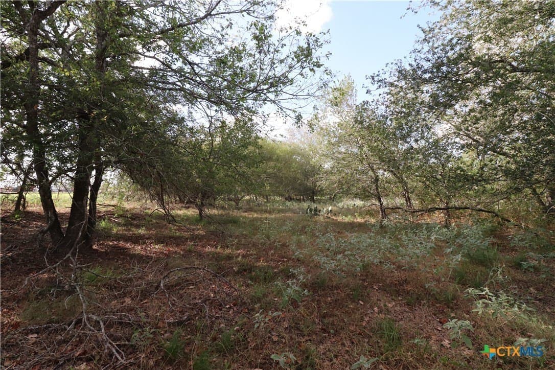 36 acres in Wilson County - photo 10