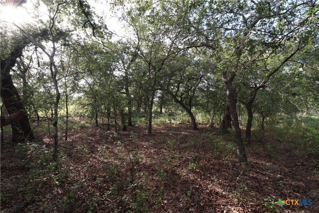 36 acres in Wilson County - photo 22