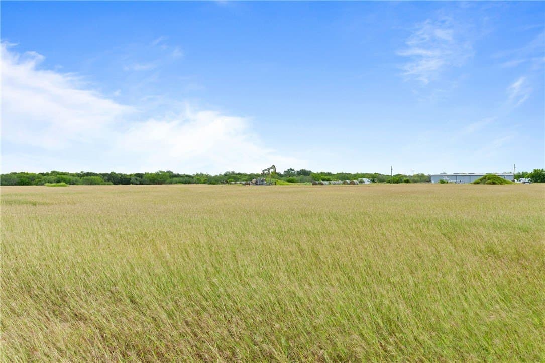 40.67 acres in Nueces County - photo 7