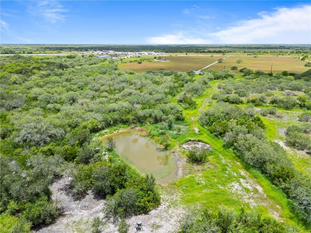 40.67 acres in Nueces County - photo 8