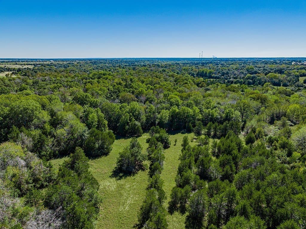 41 acres in Fayette County gallery image 2