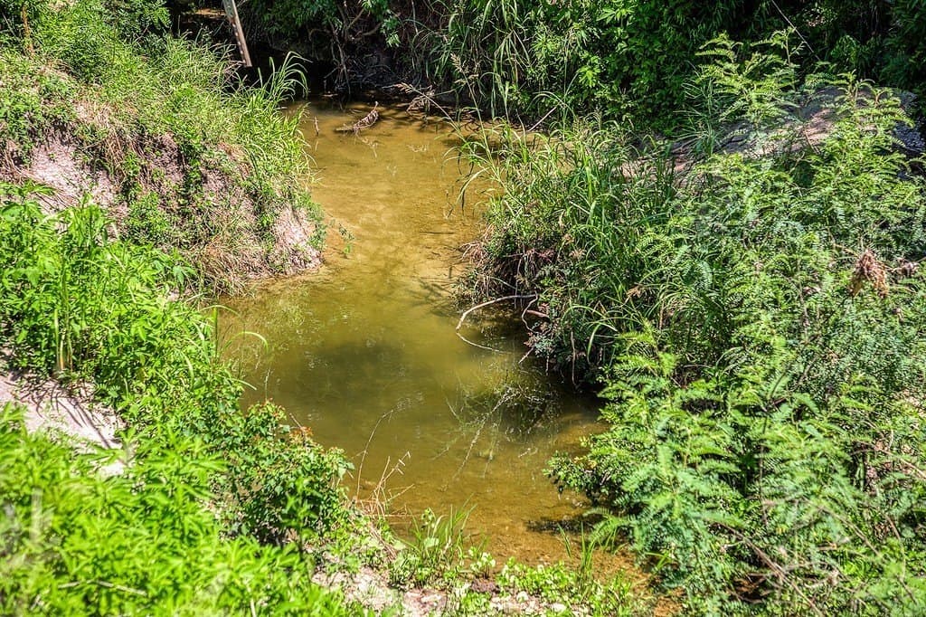 67.17 acres in Washington County gallery image 3