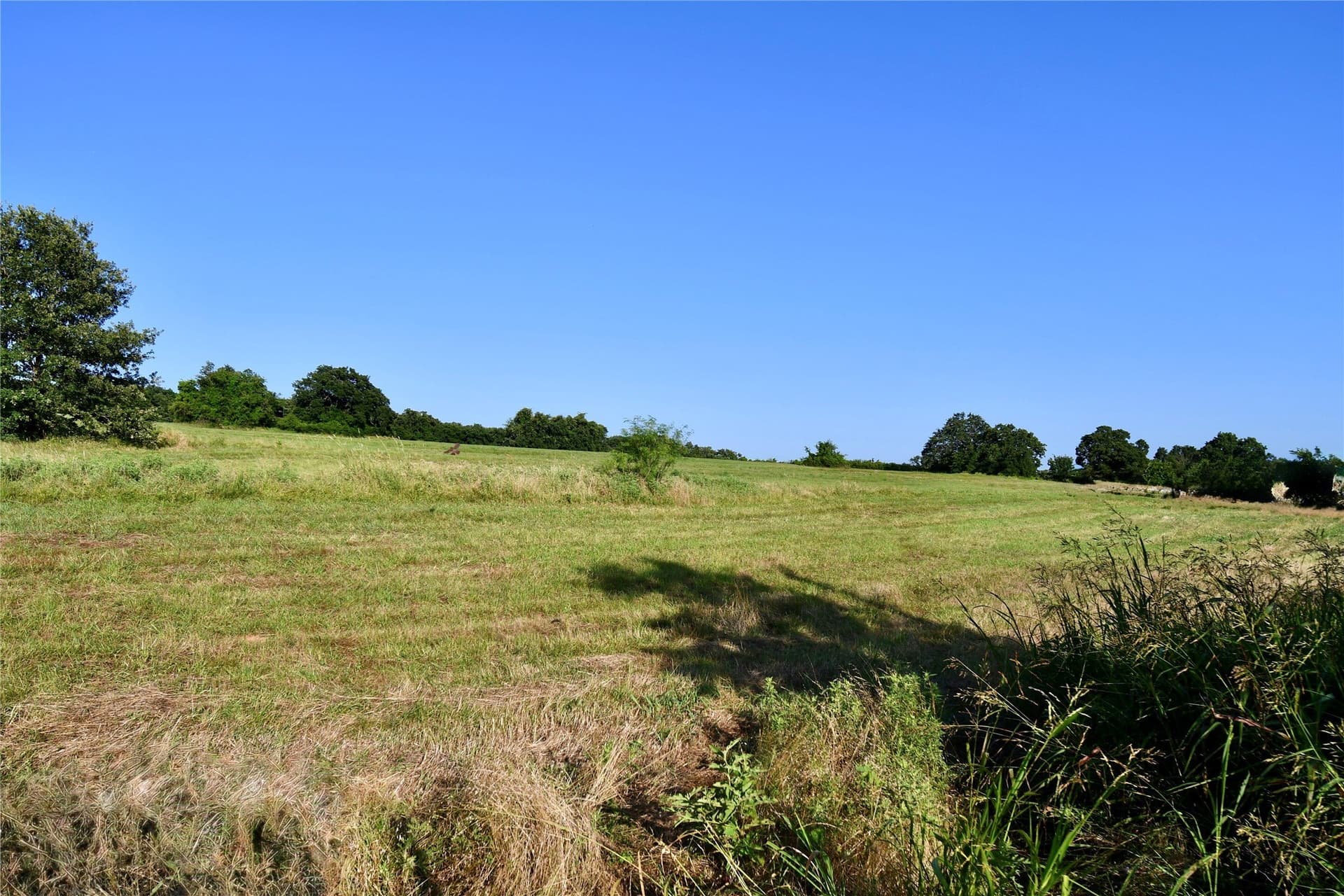 15 acres in Parker County - photo 18
