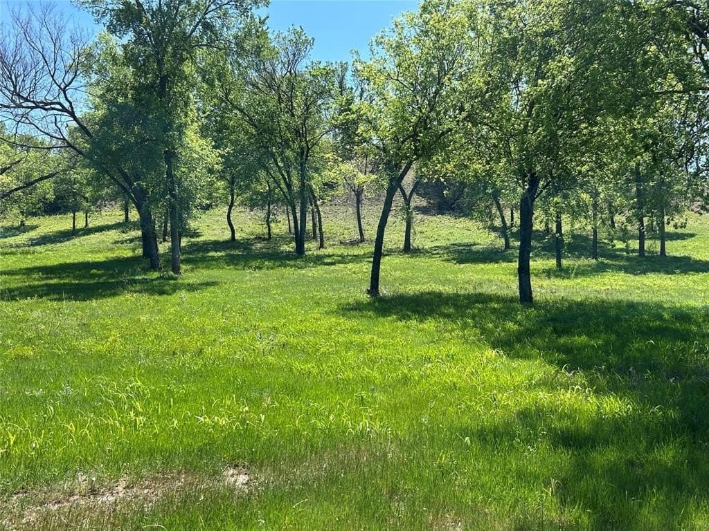 7.37 acres in Parker County gallery image 4