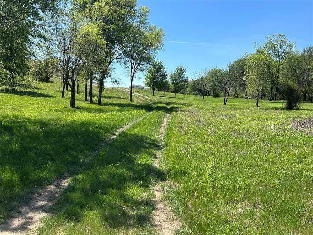 7.37 acres in Parker County gallery image 3