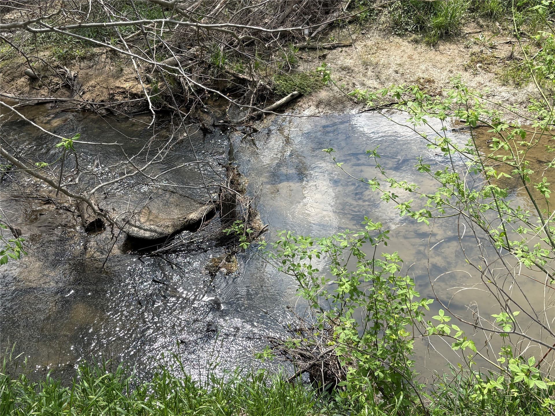 68.85 acres in Hopkins County - photo 25
