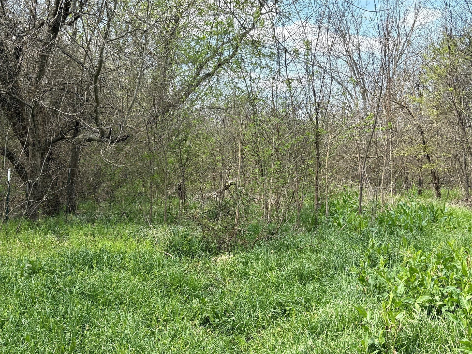68.85 acres in Hopkins County - photo 22