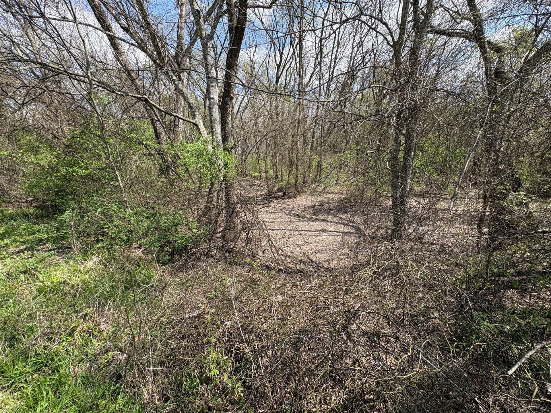 68.85 acres in Hopkins County - photo 11