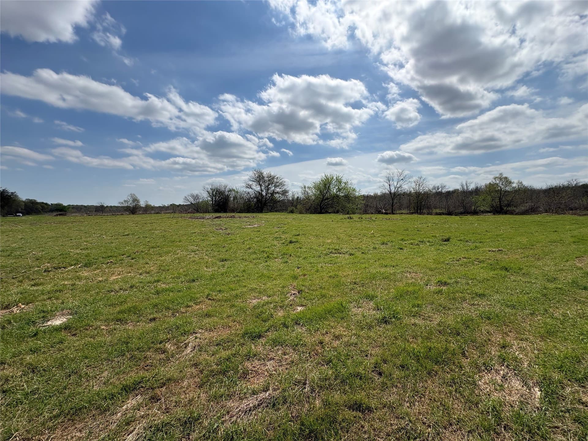 68.85 acres in Hopkins County - photo 6
