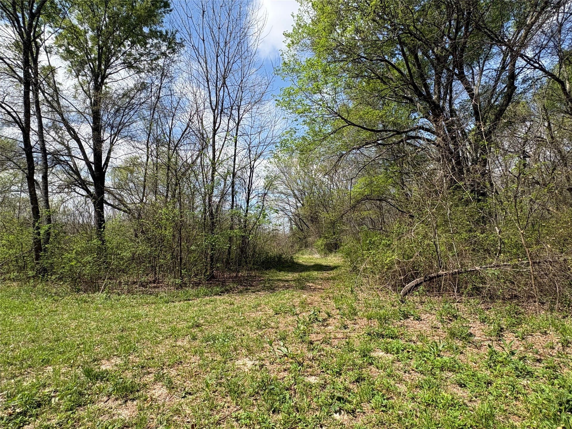 68.85 acres in Hopkins County - photo 14