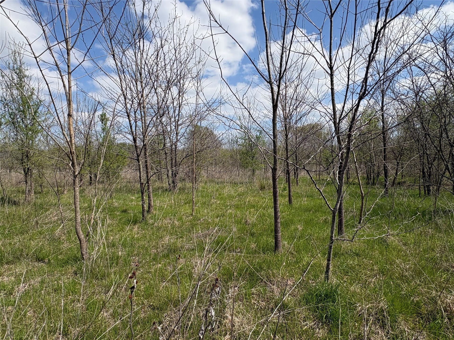 68.85 acres in Hopkins County - photo 18
