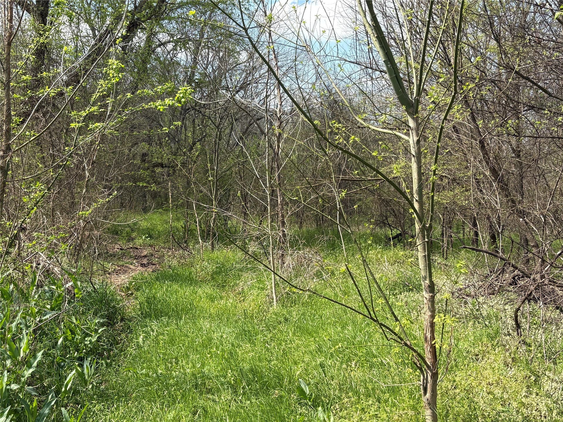 68.85 acres in Hopkins County - photo 21