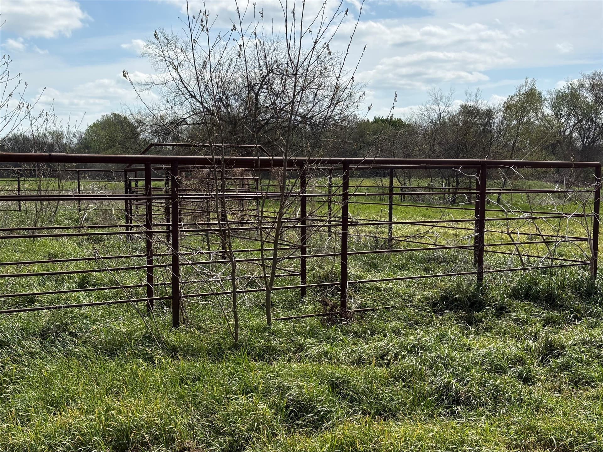 68.85 acres in Hopkins County - photo 32