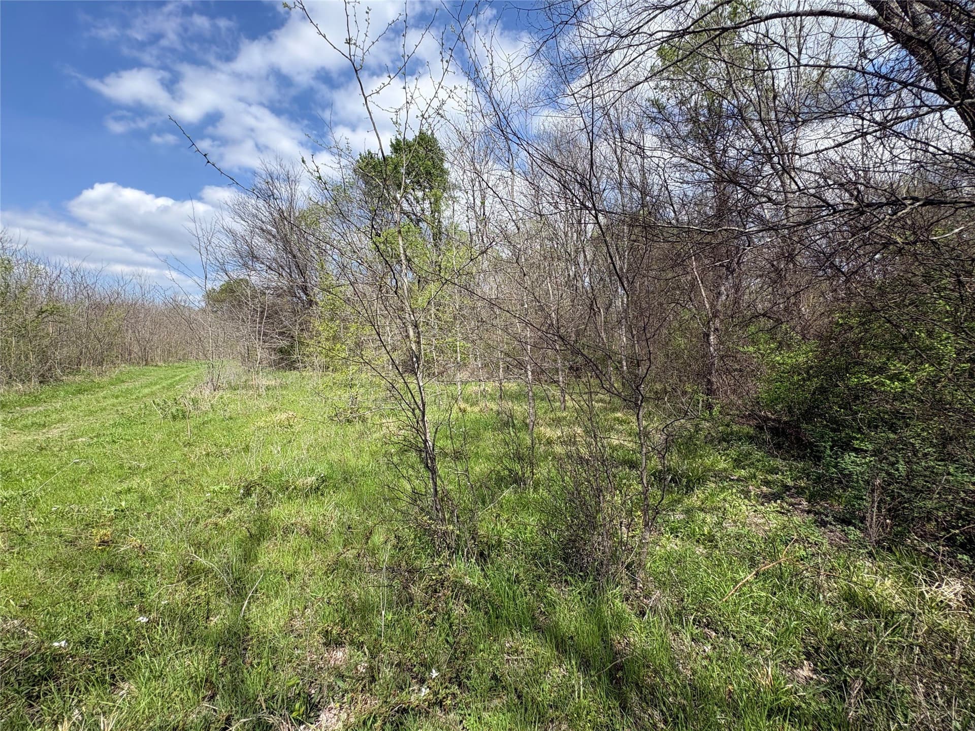 68.85 acres in Hopkins County - photo 10