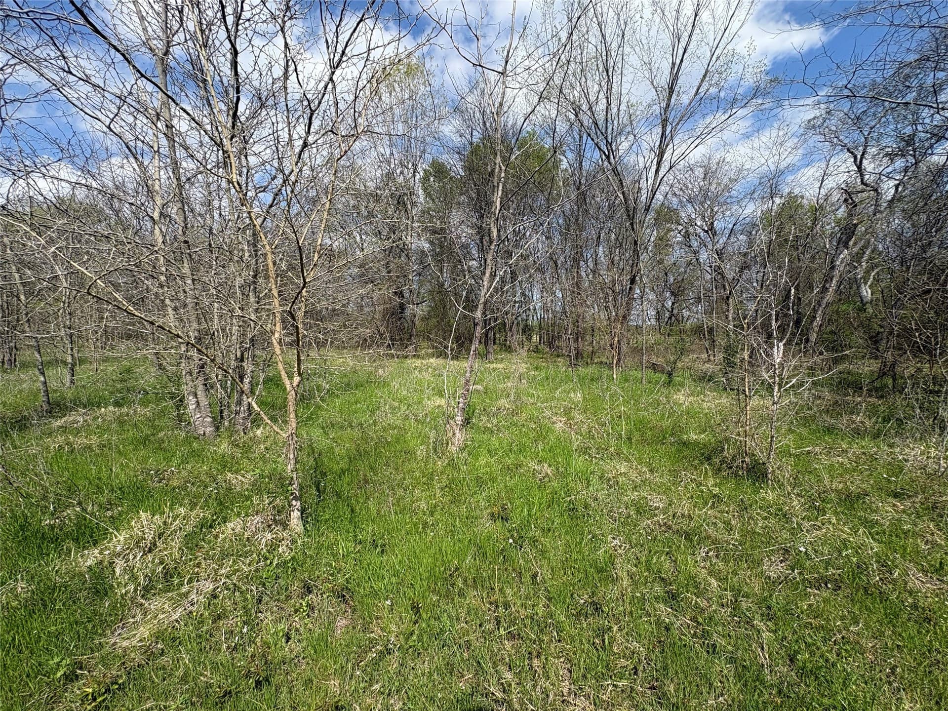 68.85 acres in Hopkins County - photo 9