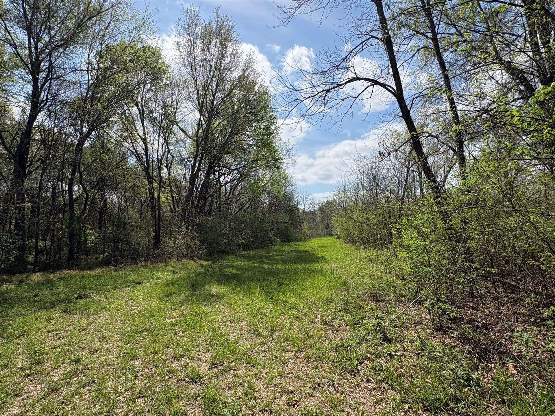 68.85 acres in Hopkins County - photo 13