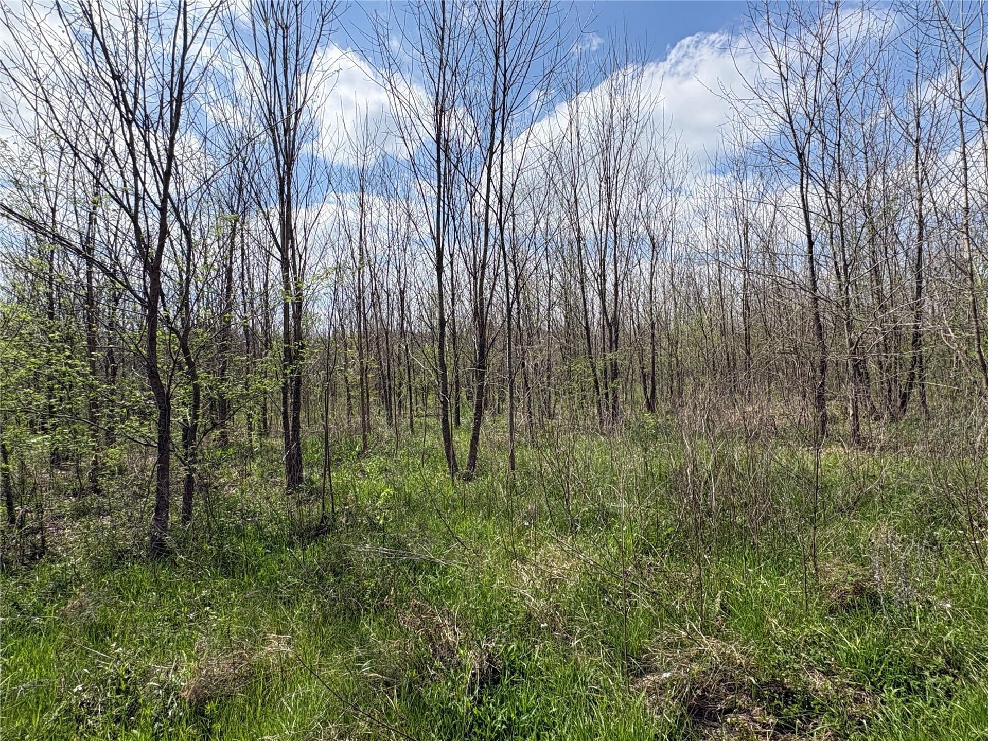68.85 acres in Hopkins County - photo 12