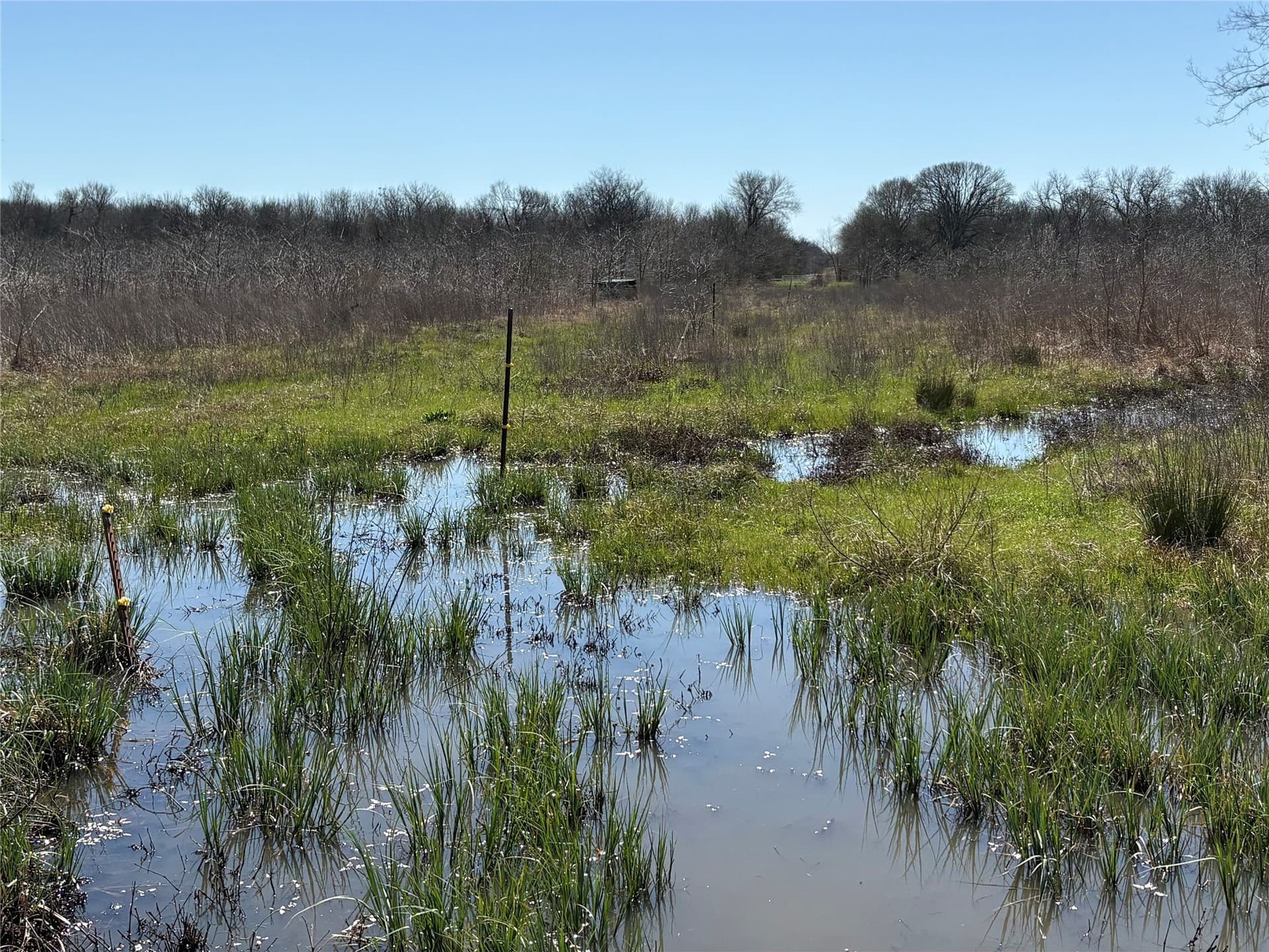 68.85 acres in Hopkins County - photo 34