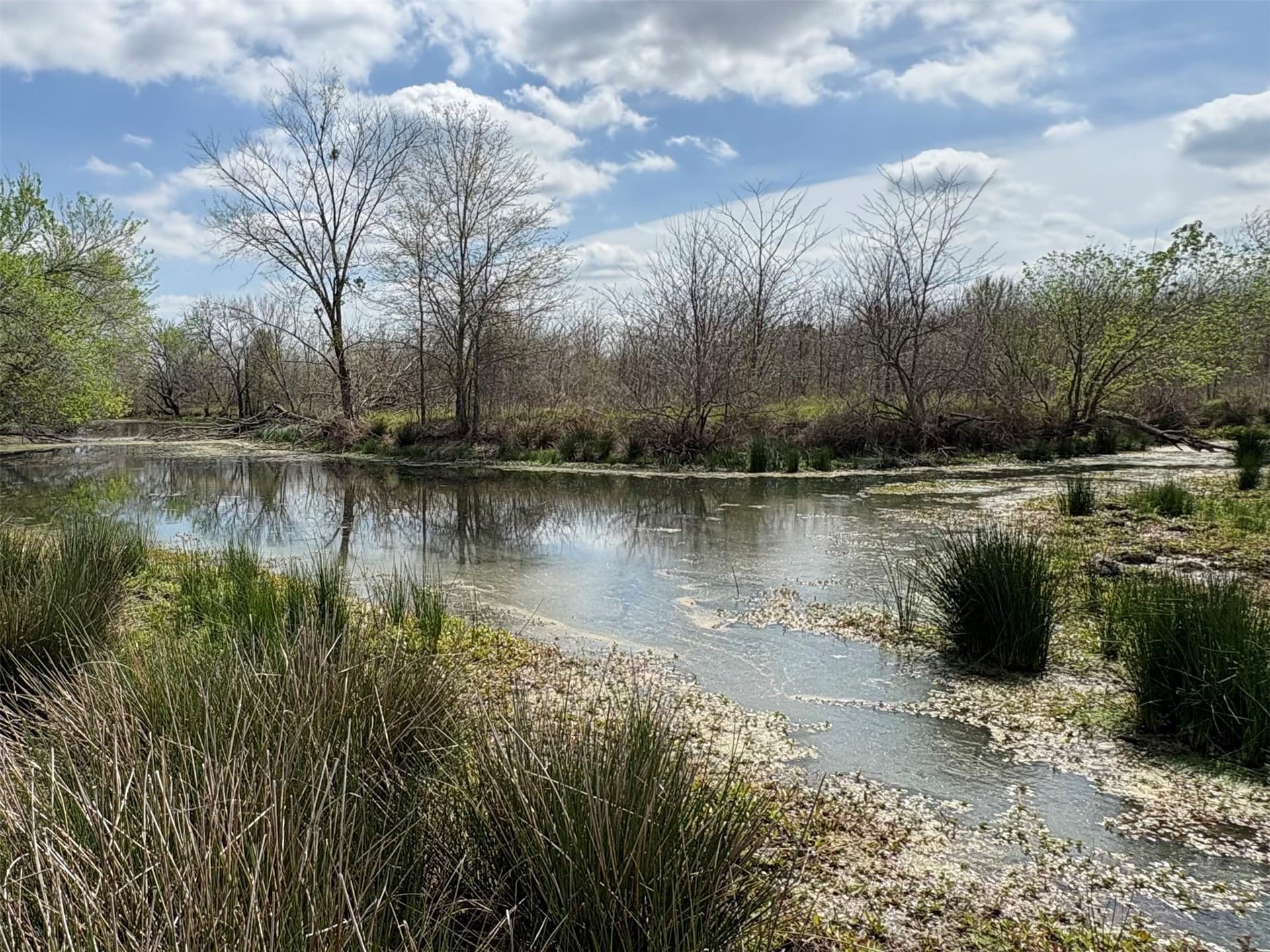 68.85 acres in Hopkins County - photo 5
