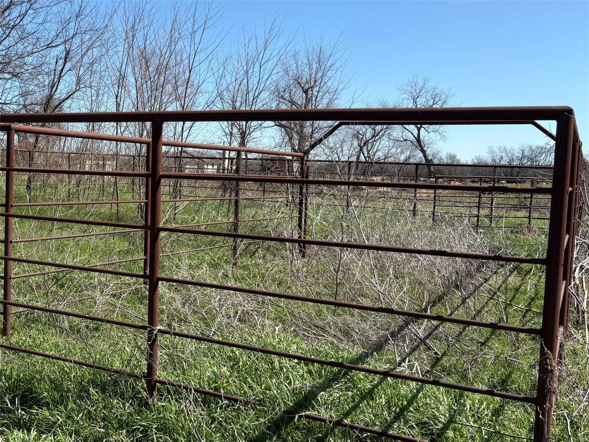 68.85 acres in Hopkins County - photo 33