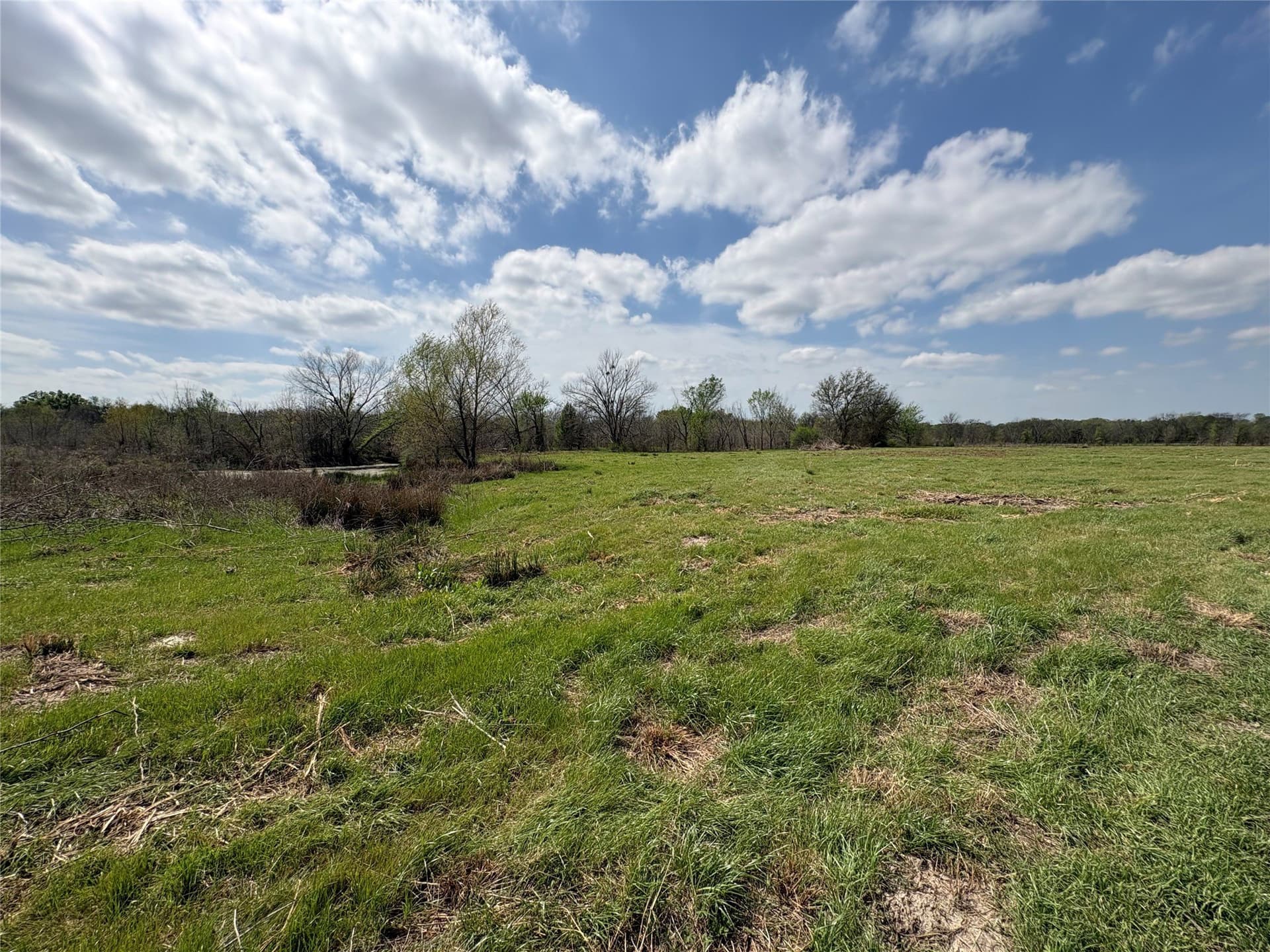 68.85 acres in Hopkins County - photo 8