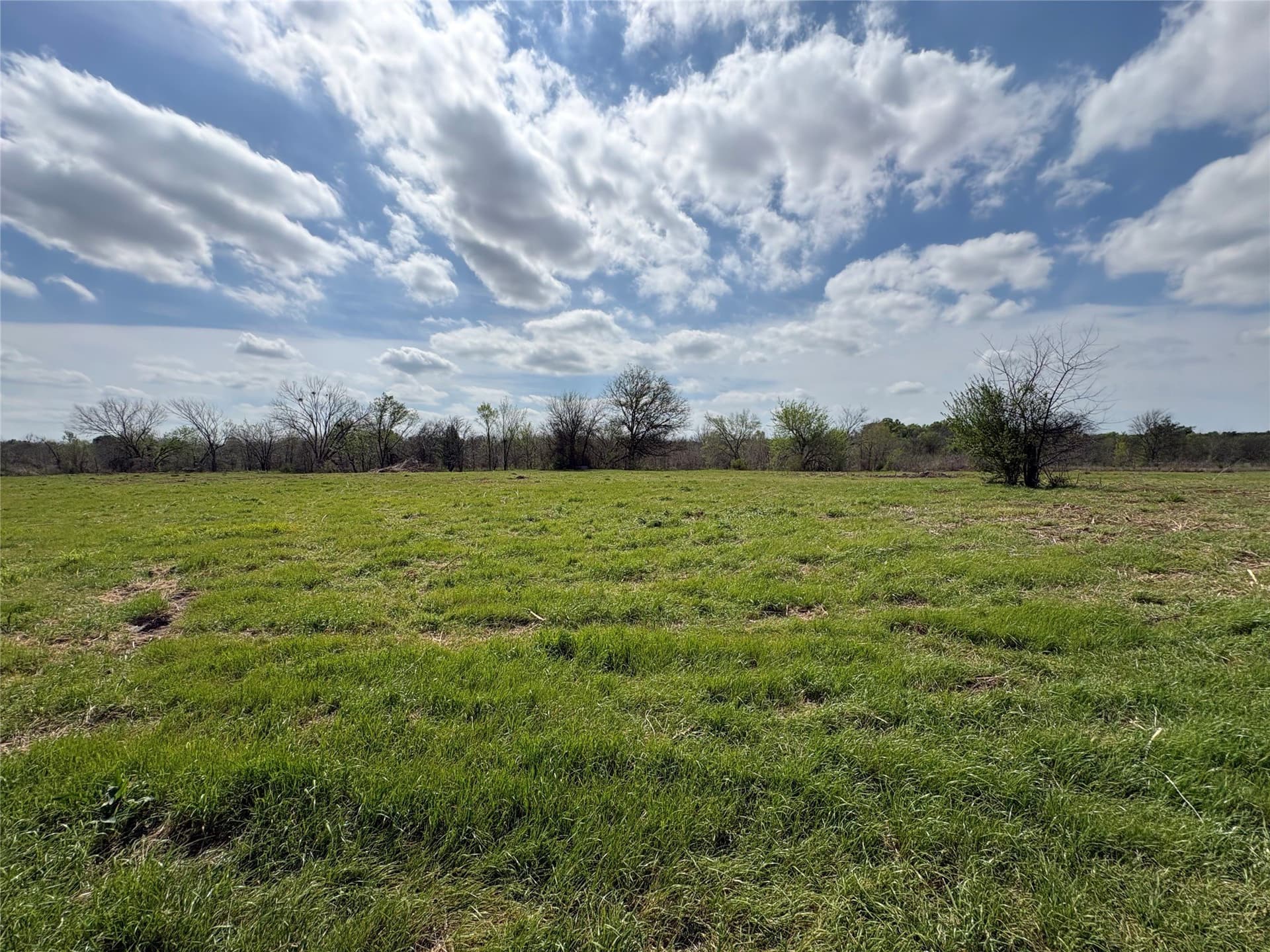 68.85 acres in Hopkins County - photo 7