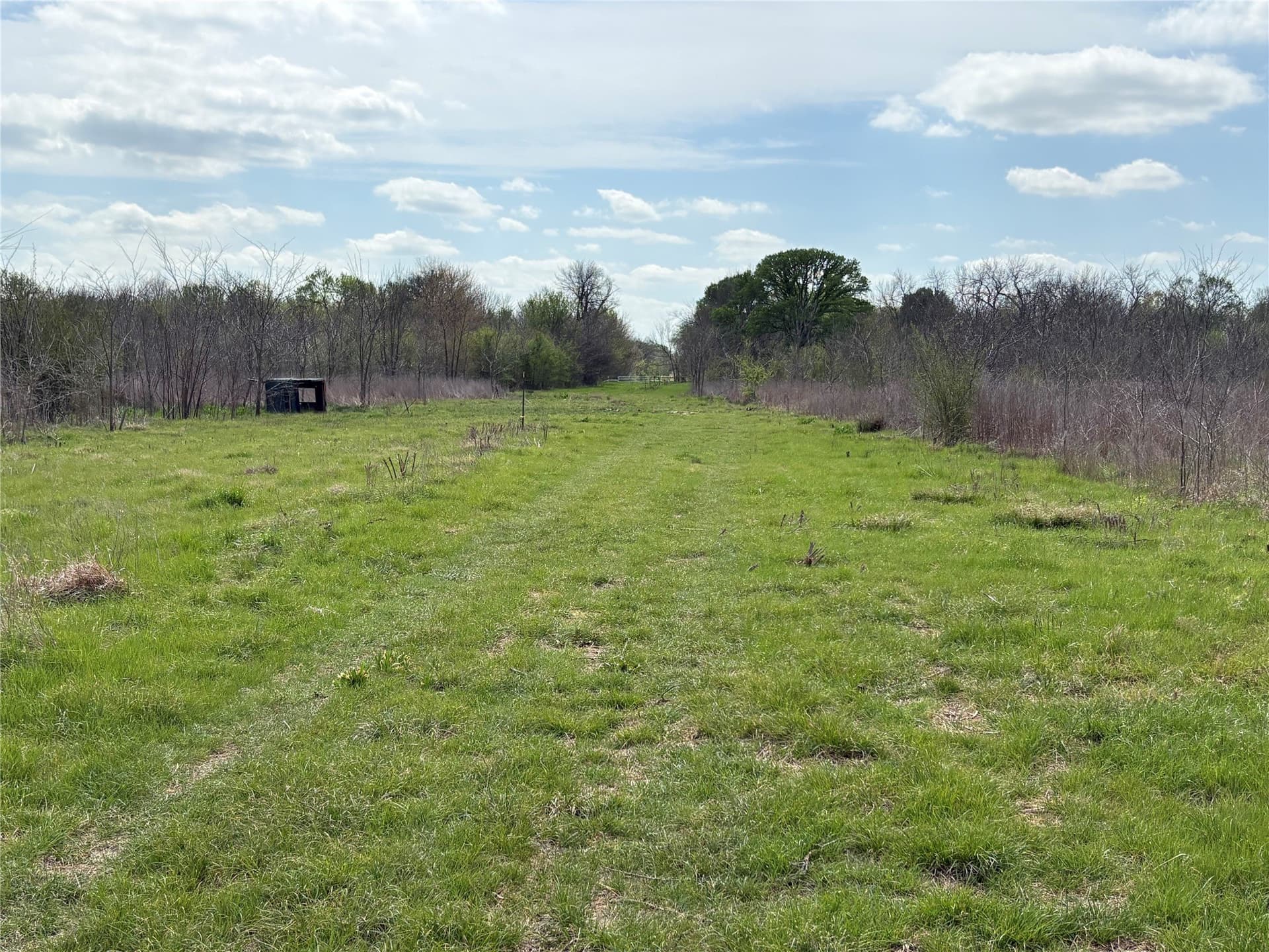 68.85 acres in Hopkins County - photo 27