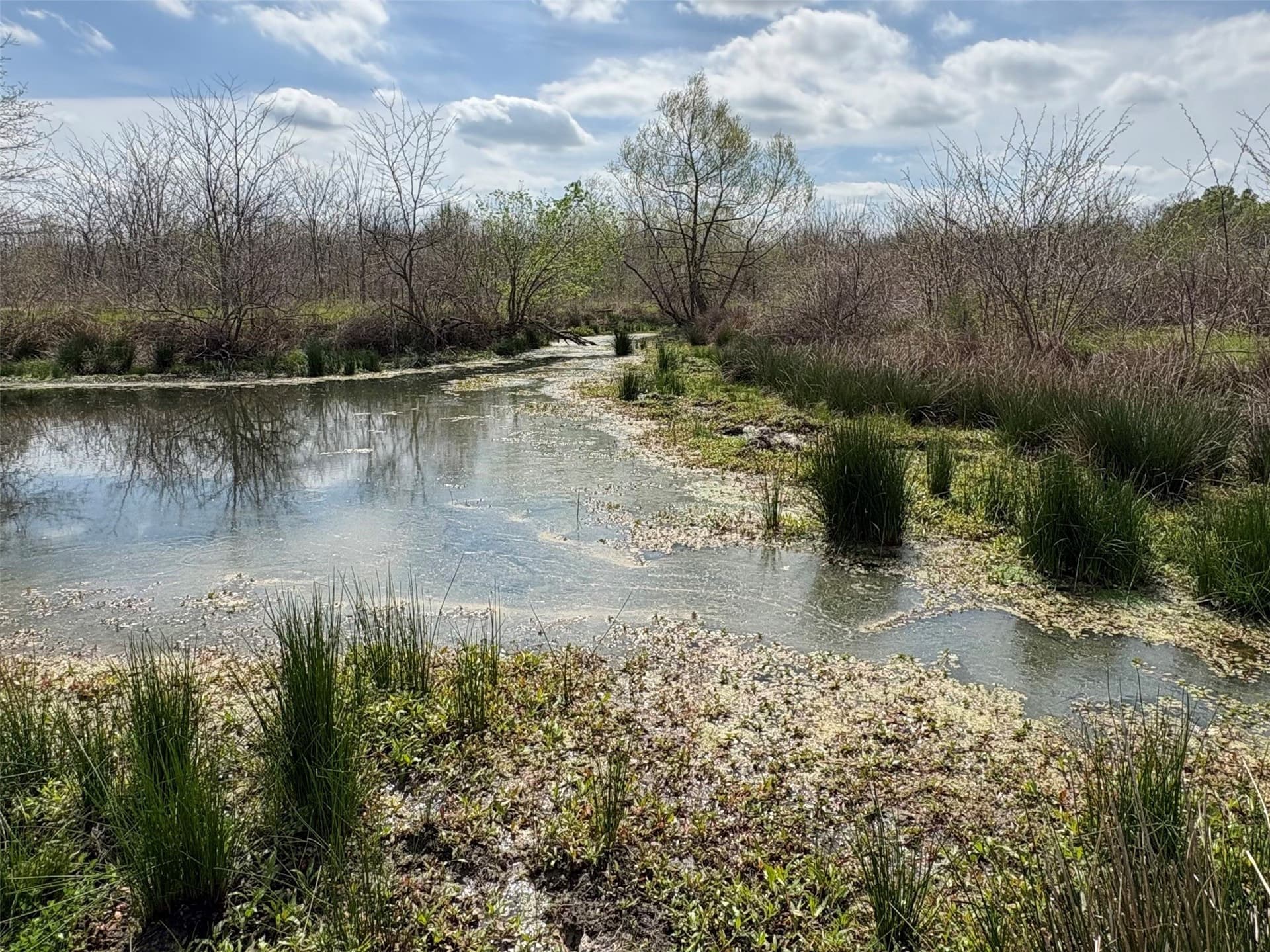 68.85 acres in Hopkins County - photo 4