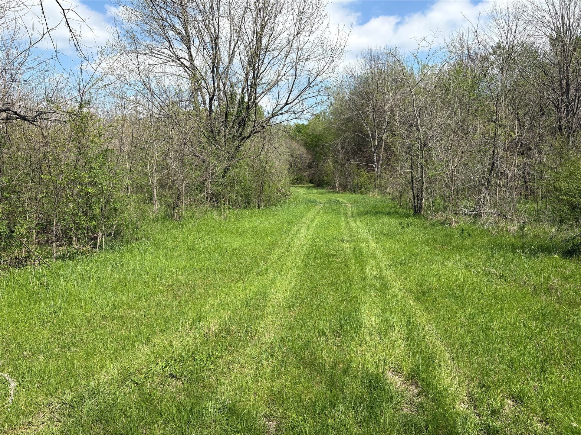 68.85 acres in Hopkins County - photo 16