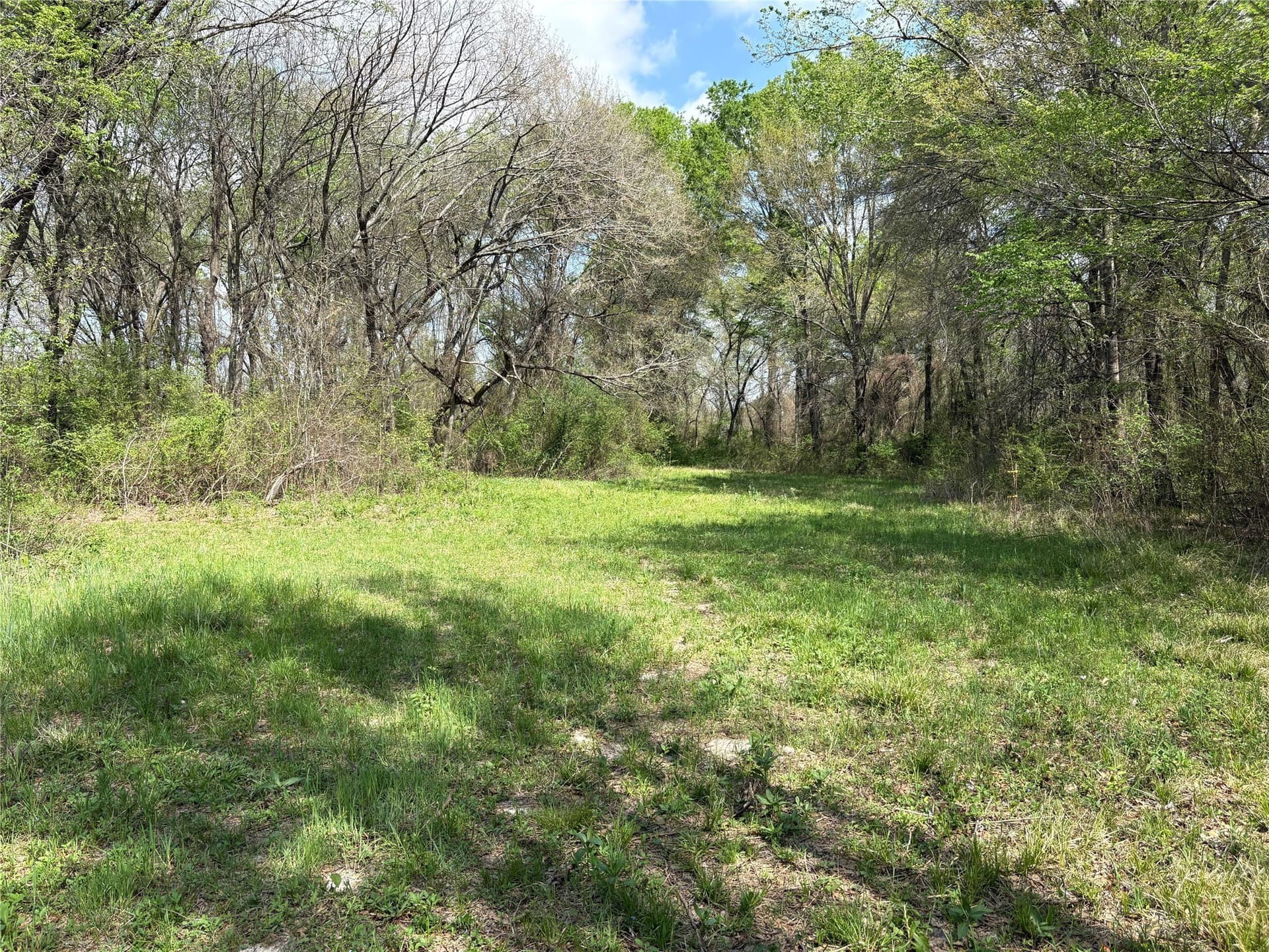 68.85 acres in Hopkins County - photo 15