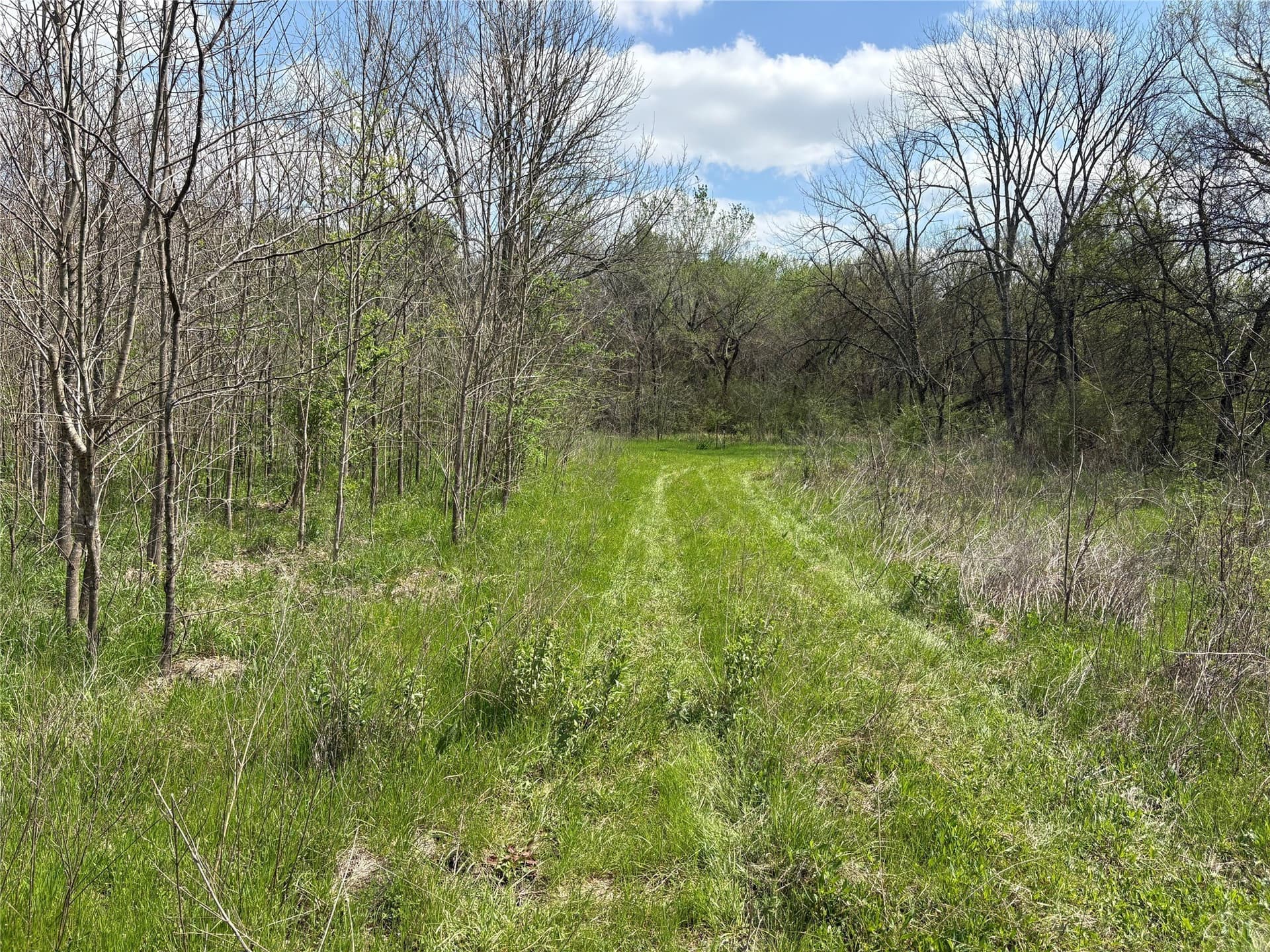 68.85 acres in Hopkins County - photo 17