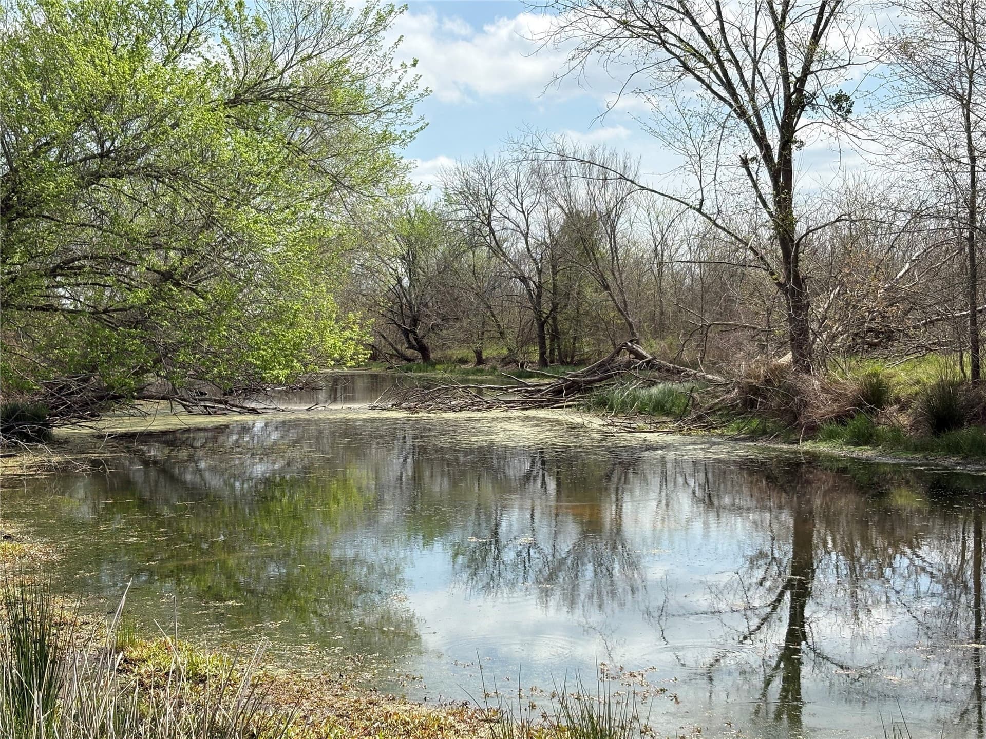 68.85 acres in Hopkins County - photo 3