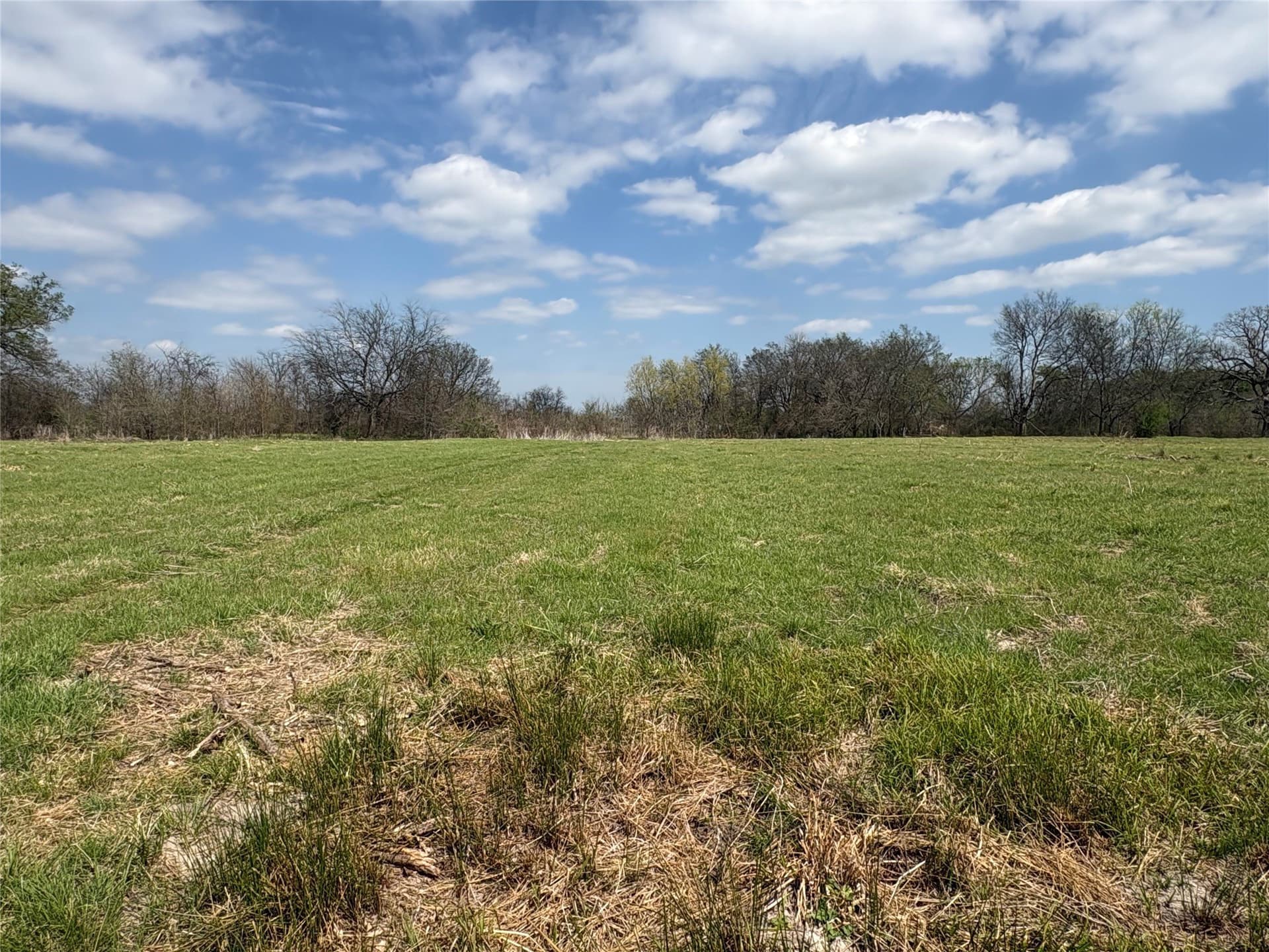 68.85 acres in Hopkins County - photo 2