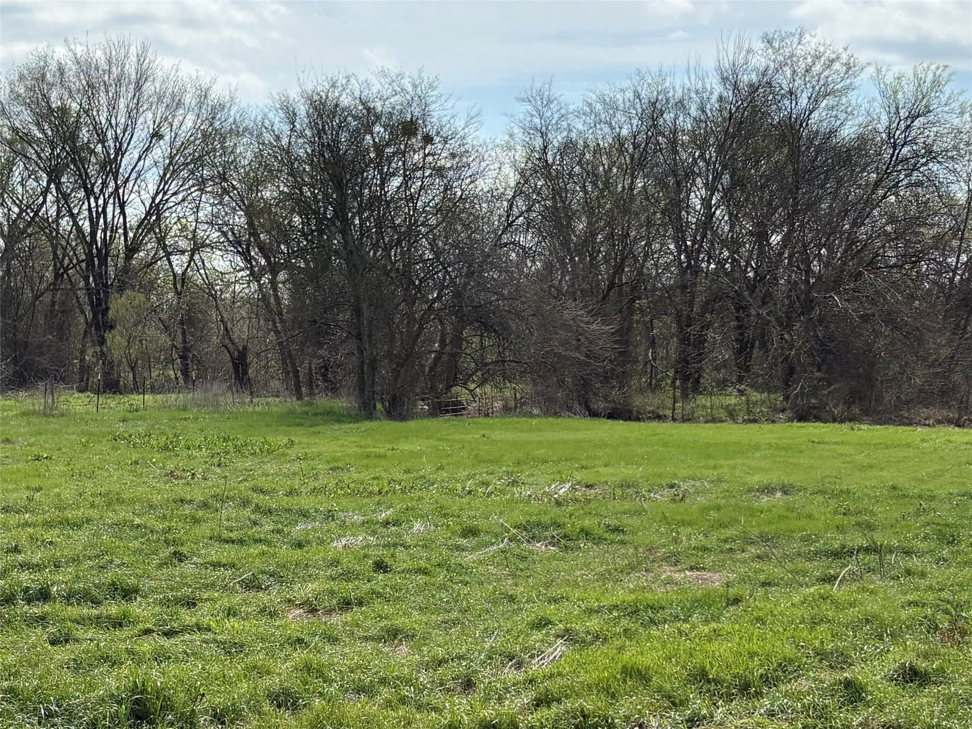 68.85 acres in Hopkins County - photo 31