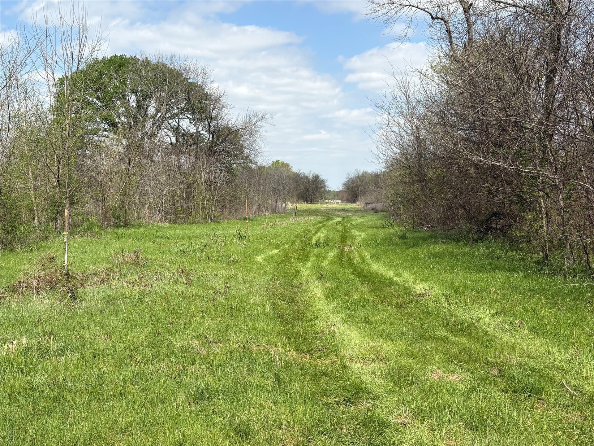 68.85 acres in Hopkins County - photo 26