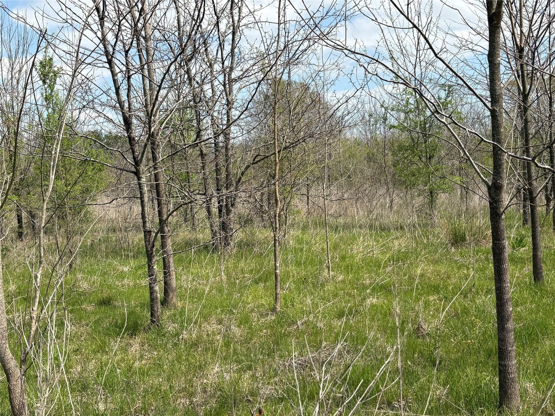 68.85 acres in Hopkins County - photo 19