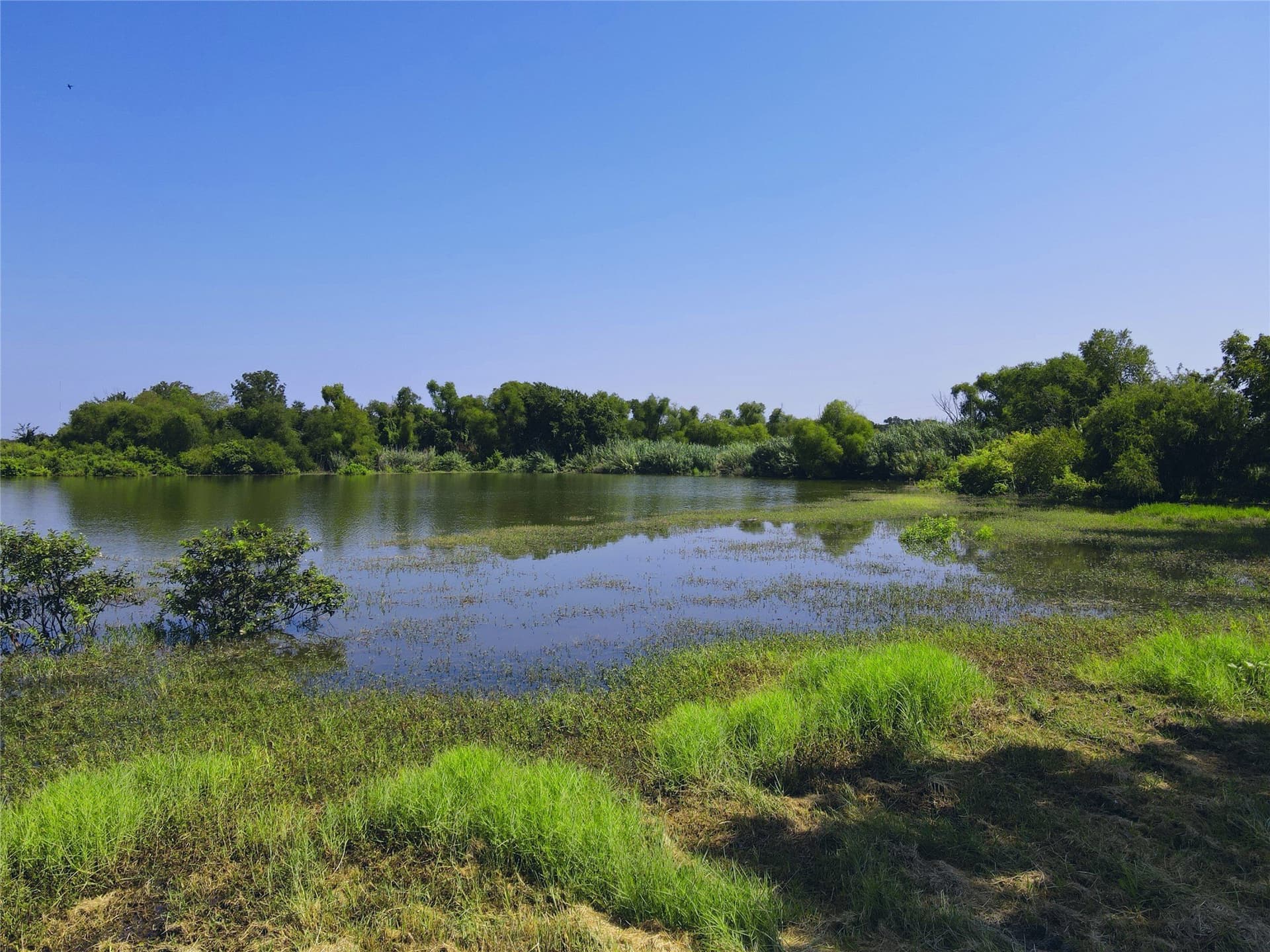 0.16 acres in Navarro County - photo 6