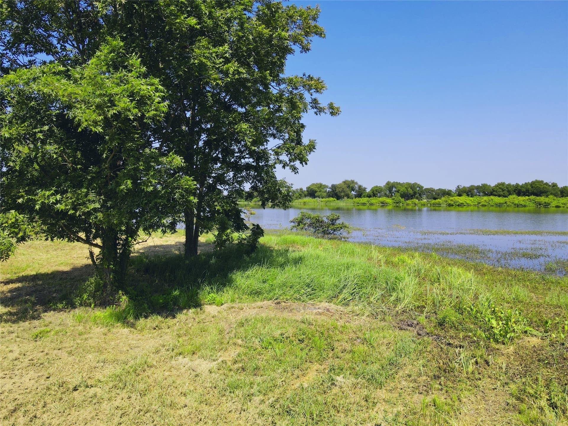 0.16 acres in Navarro County gallery image 3